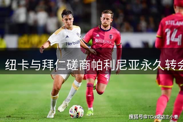纽卡与拜仁磋商帕利尼亚永久转会事宜