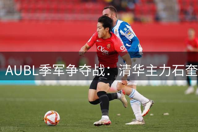 AUBL季军争夺战：清华主力石奎五犯毕业 早稻田暂领先14分